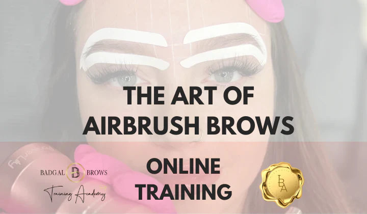 Airbrush hybrid brow tint kit 4 shades
